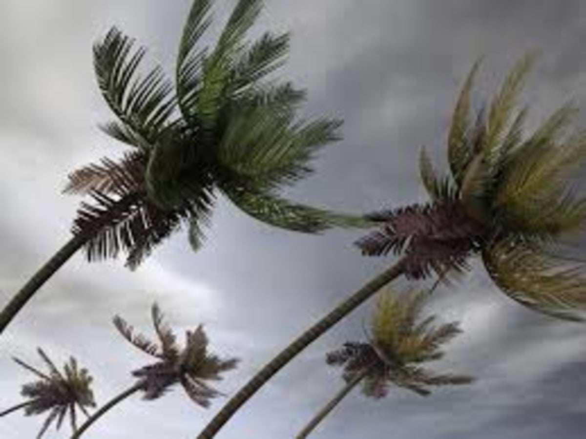 Cyclone Freddy un avertissement de classe III est en vigueur à