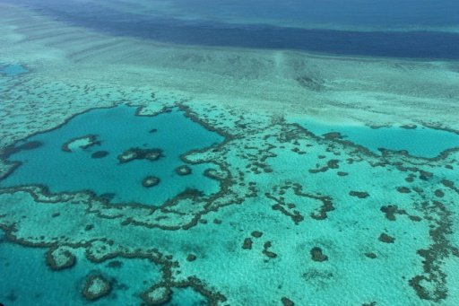 Les récifs coralliens autour de Maurice sont menacés de dégradation