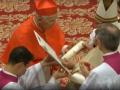Cardinal Maurice Piat Cardinal Maurice Piat