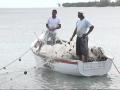 La maison des pêcheurs La maison des pêcheurs