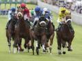 horse race horse race