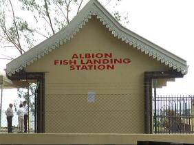 Albion Fish Landing Station