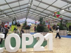 COP 21