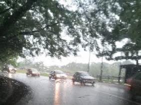 Ébène grosses pluies ( Photo : Ashok Beeharry )