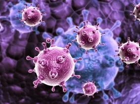 Virus de la grippe Virus de la grippe