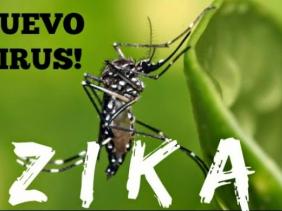 La COI se mobilise face au virus Zika
