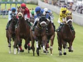 horse race horse race