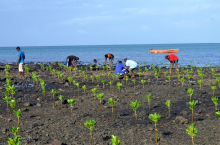 Gestion durable des zones côtières de l’océan Indien.