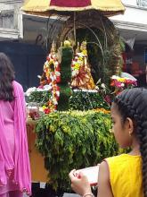 cavadee1