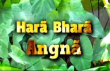 hara bhara angna
