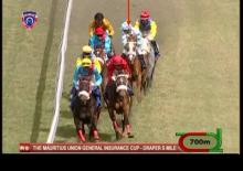 hippisme