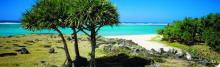 rodrigues, botanique