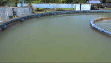 CWA : amélioration de la distribution de l'eau 