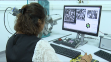 [VIDEO] Nanoparticles: Project for Use in Agriculture