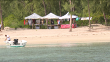[VIDEO] Regulated Tourism and Conservation: A New Era for Île aux Bénitiers