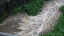 riviere
